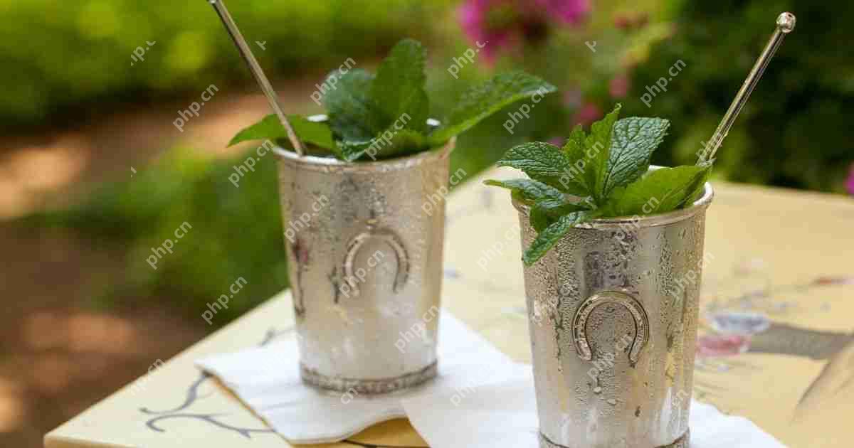 Mint Julep食谱 - 如何使肯塔基州德比的官方饮料更令人耳目一新